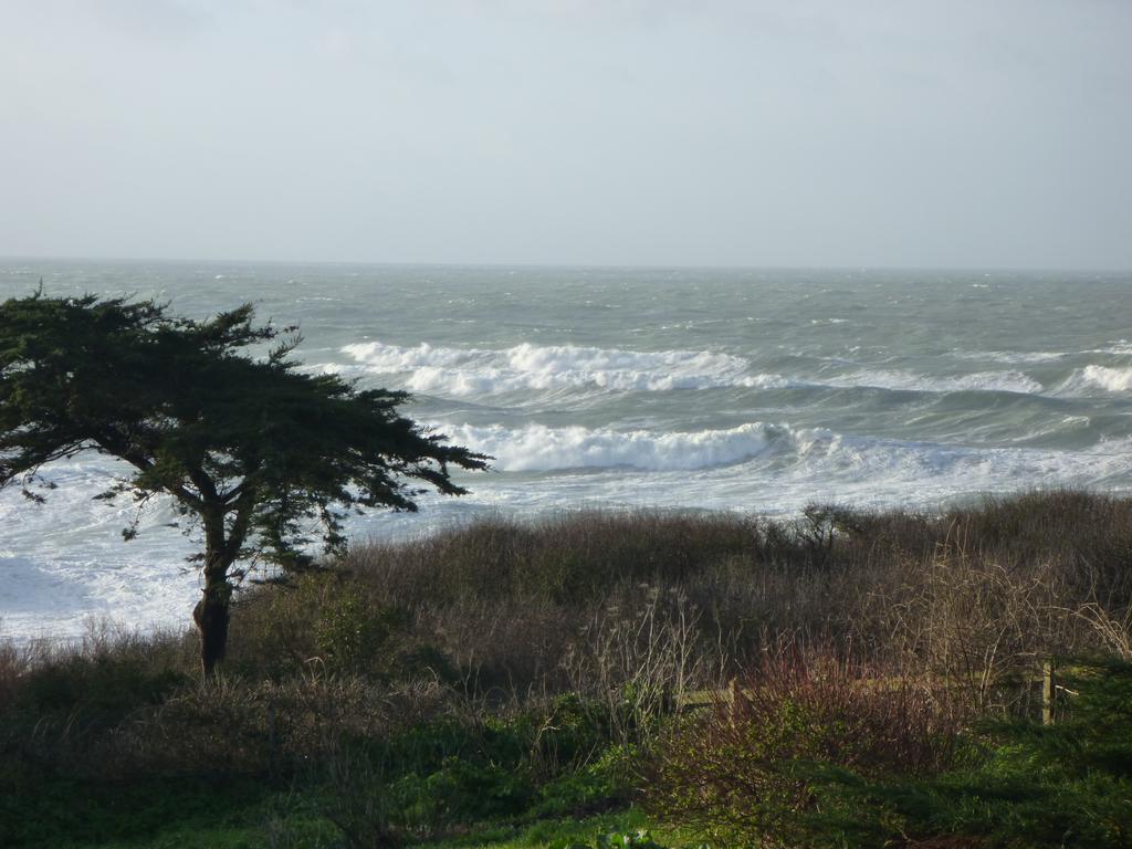 La Criste Marine Bed and Breakfast Groix Rum bild